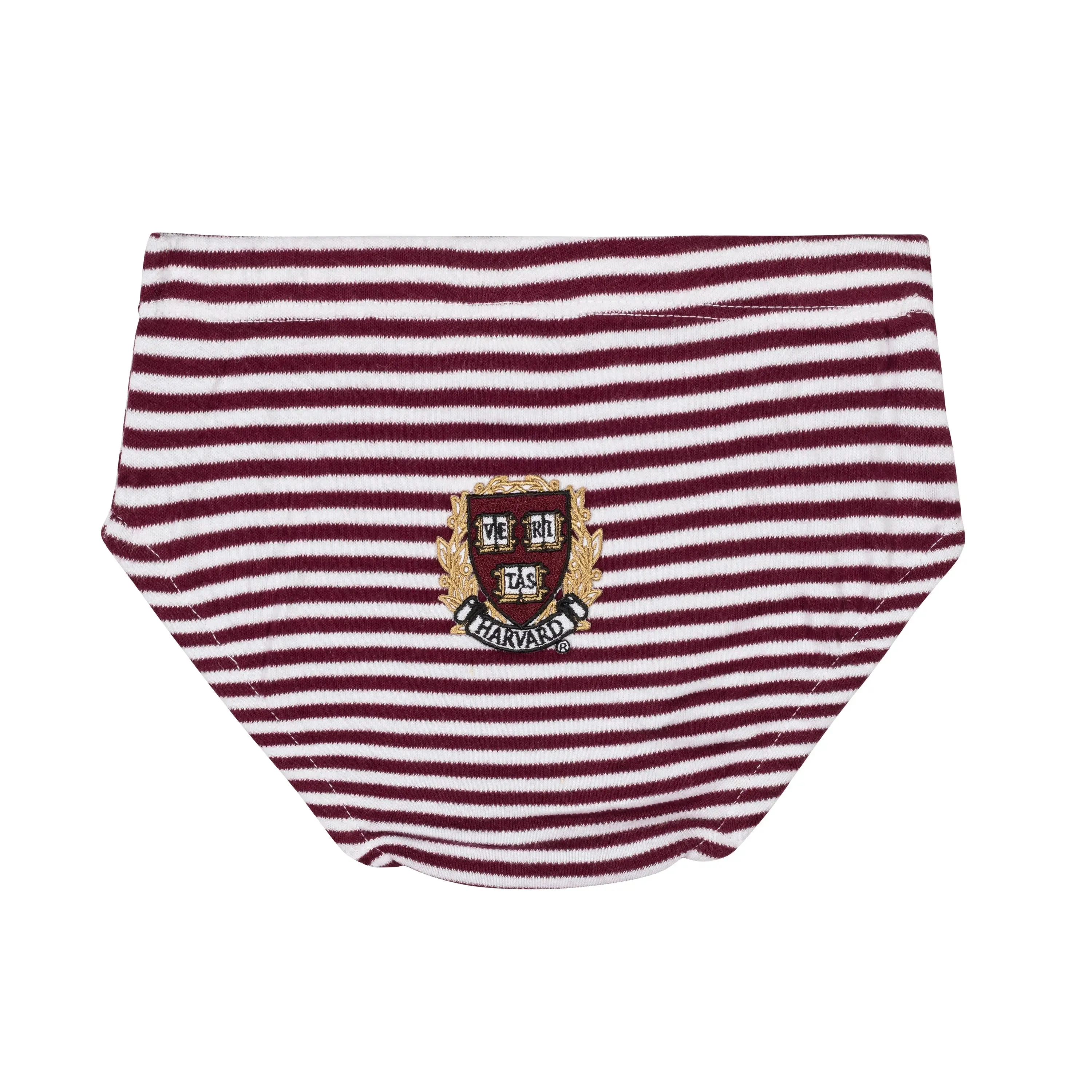 Harvard Striped Dress & Bloomer