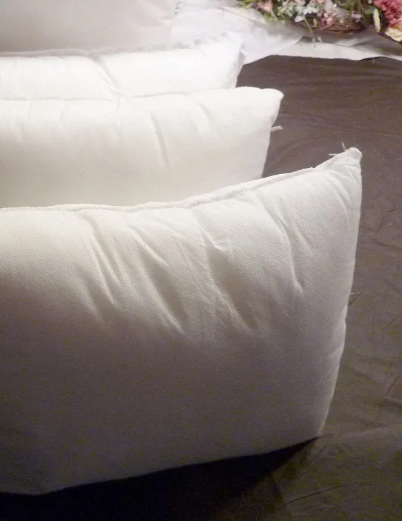 Pillow Inserts, Pillow forms,100% Polyester Fiber fill in 6 sizes from 12x16 - 20x20