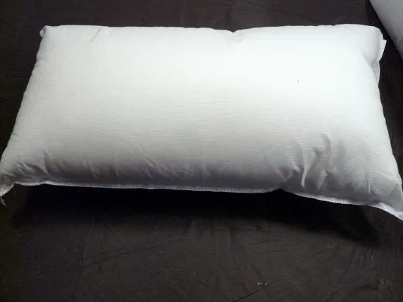 Pillow Inserts, Pillow forms,100% Polyester Fiber fill in 6 sizes from 12x16 - 20x20