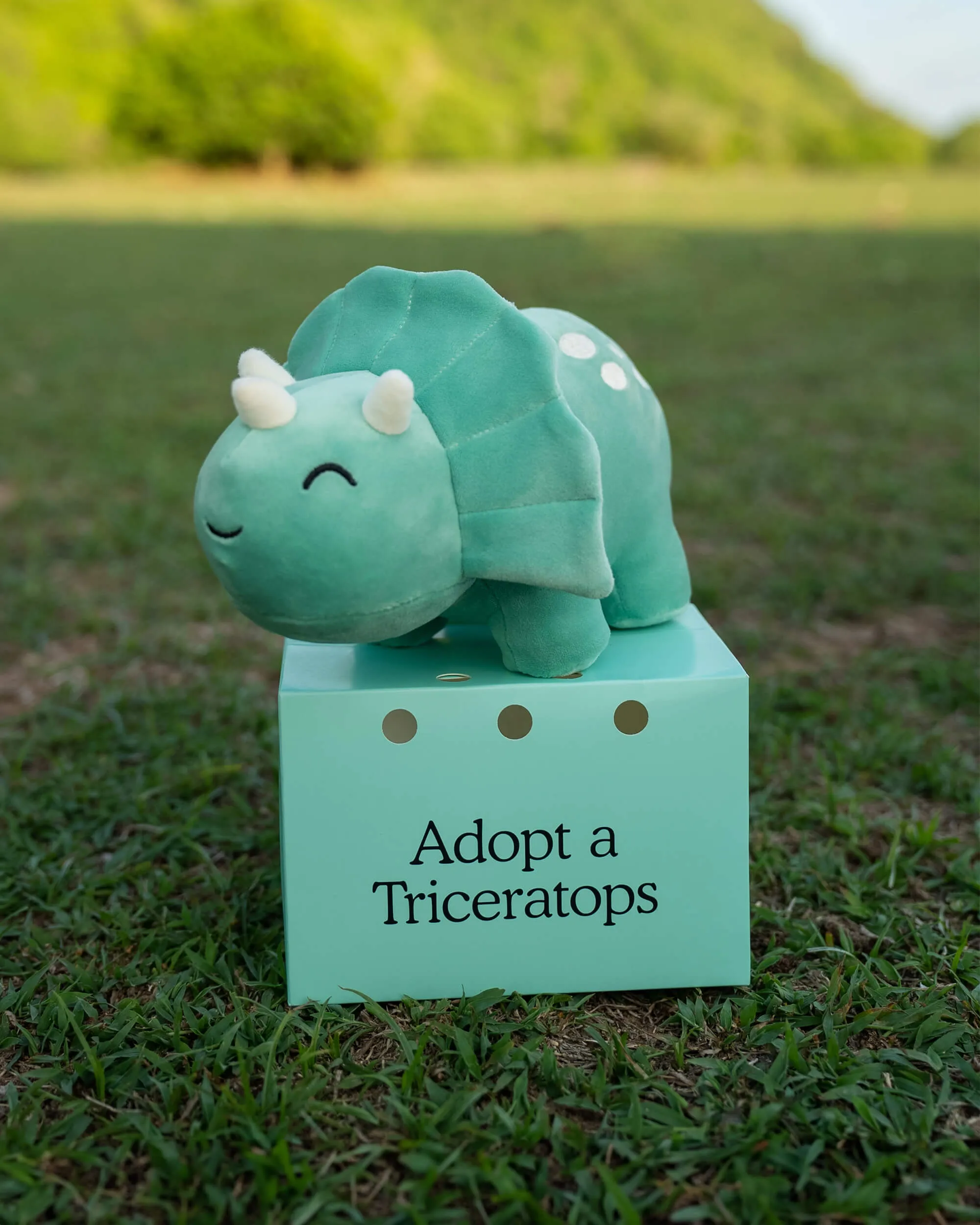 Triceratops Plushie